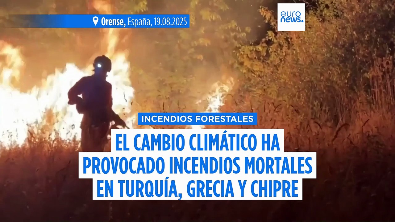 El cambio climático intensificó los incendios forestales mortales en Turquía, Grecia y Chipre