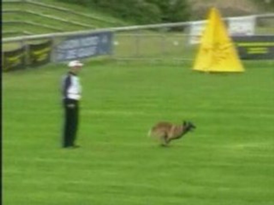 FMBB-2007-Pfeffer/Sesar