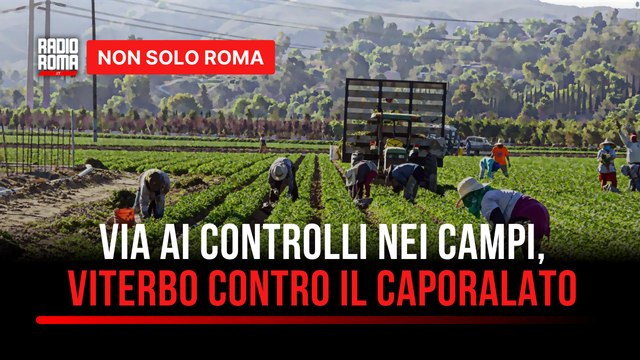 Viterbo, controlli contro il caporalato nei campi: ispettori in azione per la legalità