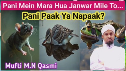Agar Pani Mein Mara Hua Janwar Mile To Pani Kab Napaak Hota hai? #paknapak