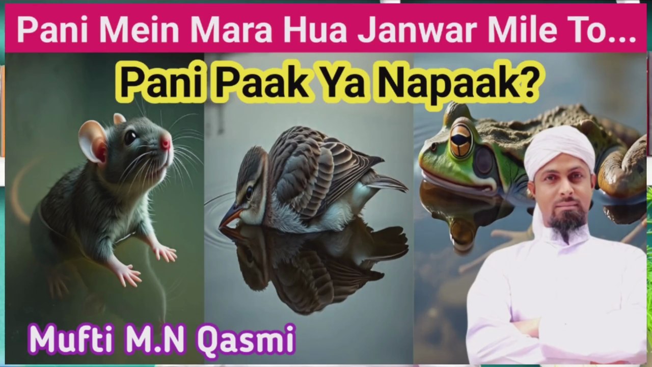 Agar Pani Mein Mara Hua Janwar Mile To Pani Kab Napaak Hota hai? #paknapak