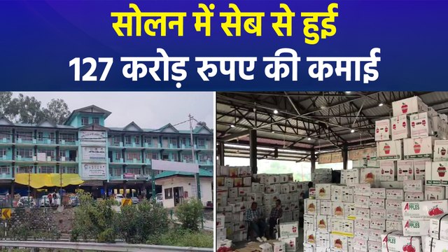 हिमाचल प्रदेश के सोलन में बंपर कमाई का मौका लेकर आया सेब का सीजन