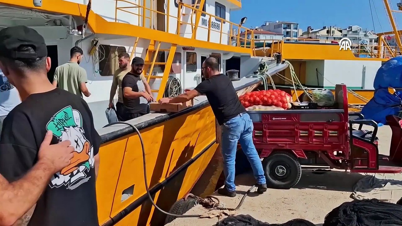 Sinop'ta balıkçılar denize açılmak için gün sayıyor