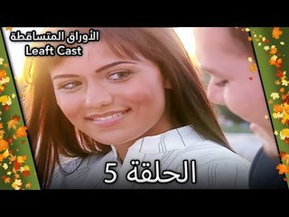 5 الأوراق المتساقطة - Yaprak Dökümü