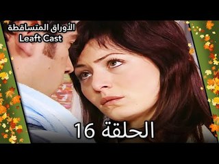 16 الأوراق المتساقطة - Yaprak Dökümü