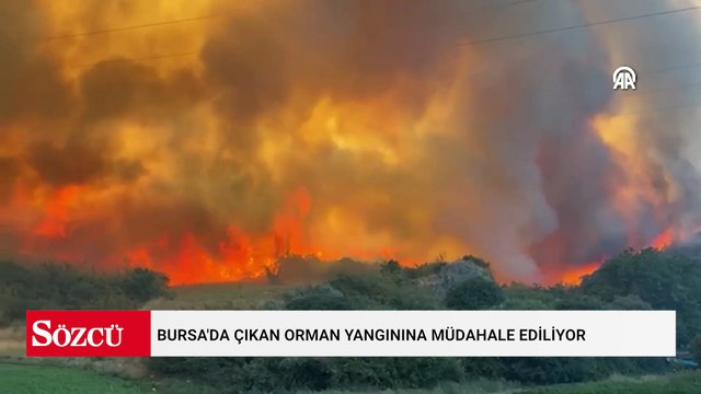 Bursa'da orman yangını evlere yaklaştı, kara yolu kapatıldı