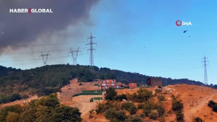 Orman yangınındaki alevler, tavuk çiftliklerine doğru ilerliyor