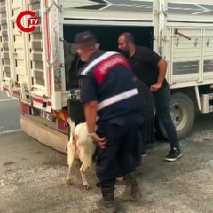 Bursa'daki yangında yol trafiğe kapatıldı, alevler akaryakıt istasyonuna yaklaştı