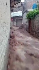 Massive Floods Hit Sialkot, Punjab, Pakistan 🌊
