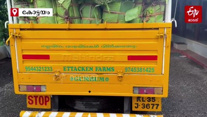 വാഴയിലയില്‍ ഓണസദ്യ കഴിക്കണമെങ്കില്‍ കൈപൊള്ളും; വരുന്നത് അതിര്‍ത്തി കടന്ന്! വില ഉയരുന്നു, കേരളത്തിലും കൃഷിക്ക് അനന്ത സാധ്യതകള്‍