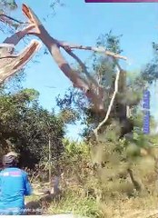 Your Smile Dose Part 20