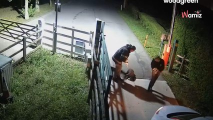 Kamera uchwyciła moment porzucenia. Przerażona sunia patrzyła, jak odjeżdżają bez niej