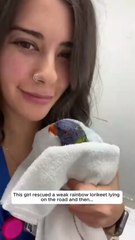 Lorikeet logic: You saved me now here’s my entire contact list.