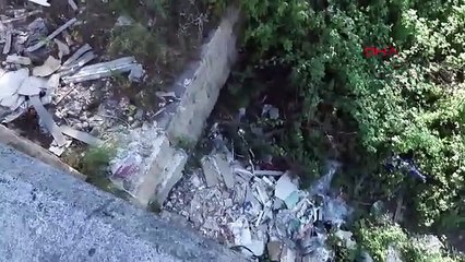 Bunlar tatilci, piknikçi değil, bunlar cennet katilleri! Tarihin içine ettiler!