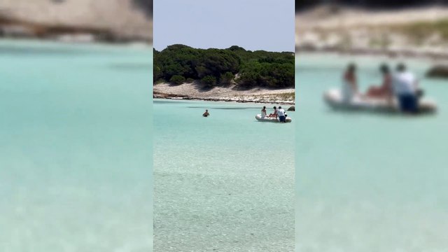 Estate cafona all'Asinara, quattro turisti violano la fragilissima spiaggia di Cala Sant'Andrea