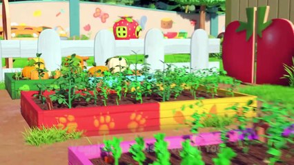 Harvest Stew _ CoComelon Nursery Rhymes & Kids Songs_1080p