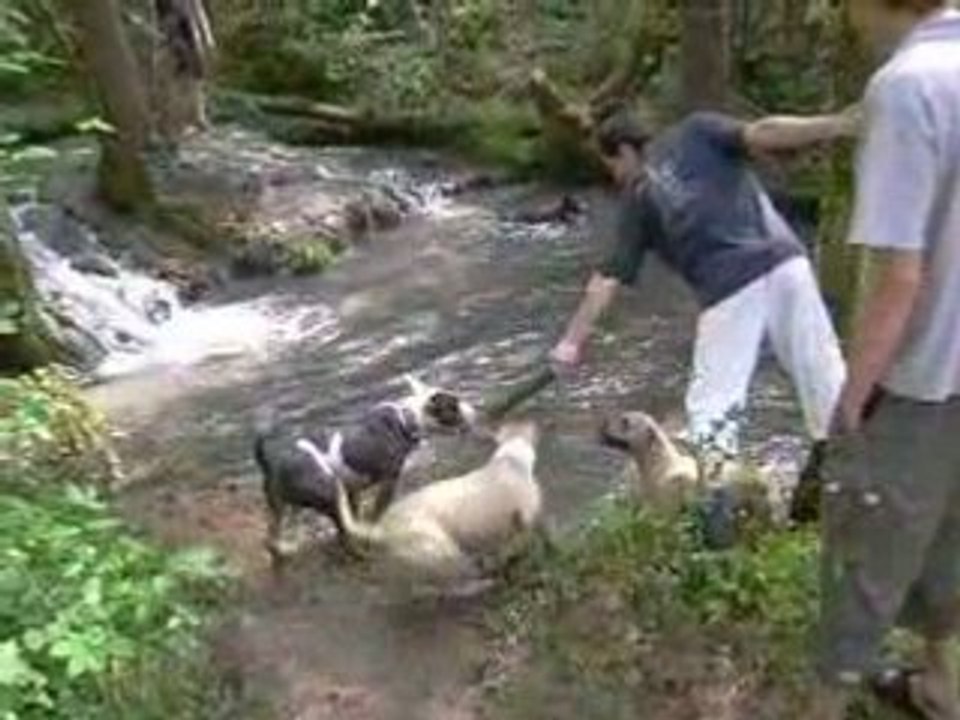 tous a l eau