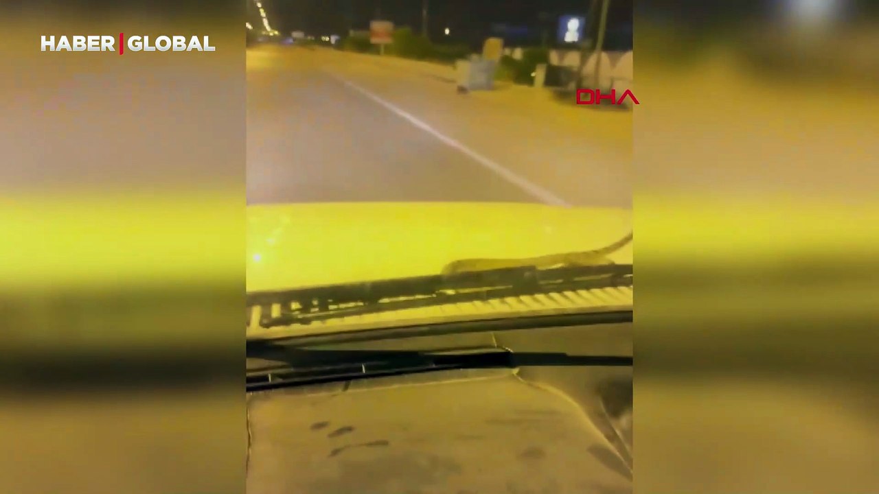 Otomobile giren yılan, seyir halinde ön cama çıktı