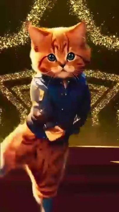 Cat Funny AI Dance