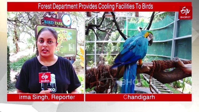 Mist Fogging, Fans And Coolers Help Winged Creatures Beat The Heat At Chandigarh Bird Park