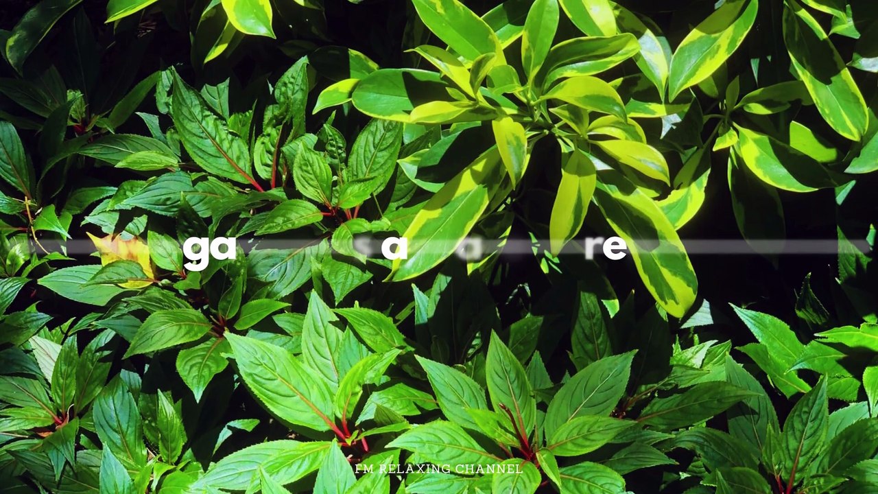 Peaceful Piano Music - For Healing Stress, Anxiety, Depressive States, Body & Soul Calming Music