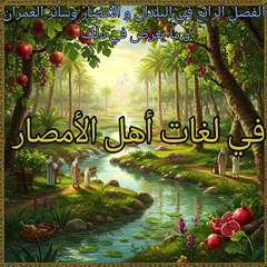 مقدمة ابن خلدون (68)