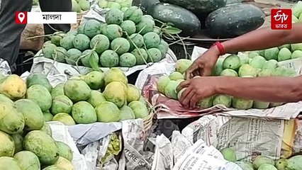 মল্লিকা, রানিপসন্দ, বৃন্দাবনি ! দিল্লিতে আসন্ন আম মেলায় থাকছে মালদার 20 প্রজাতি