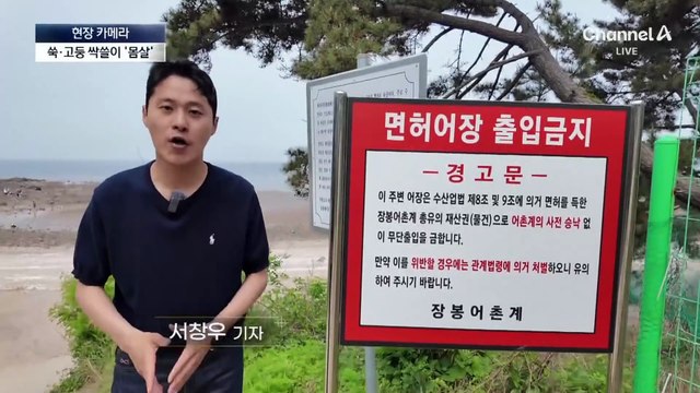 [현장 카메라]뱃삯 1500원 ‘관광객 급증’…고둥 싹쓸이 ‘몸살’