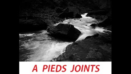 A  PIEDS  JOINTS  par : DANYEL D
