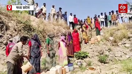 शिवपुरी में गहराया जल संकट, भीषण गर्मी में 2 किमी दूर गड्ढे से पानी ला रहे ग्रामीण