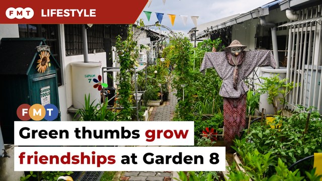 Garden 8 where green thumbs grow friendships