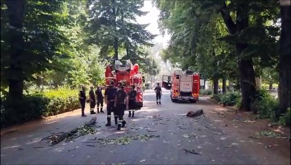 Ramo crolla sui ragazzi in fila per il concerto, paura a Firenze prima dello show dei Guns N' Roses