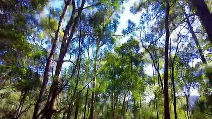 VICKY O'KEEFE - Let Them Be Saved (2025)