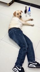 This isn't mine, they planted it on me! 😂😄😄