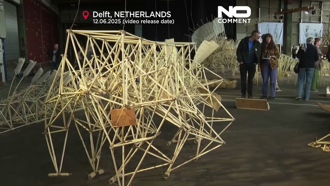 Windbetriebene Strandtiere aus den Niederlanden in Delft ausgestellt