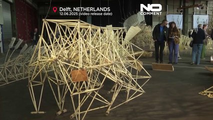 Pays-Bas : les créatures de plage alimentées par le vent exposées à Delft