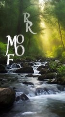 Energizing Morning with Birdsong and Forest Stream Sounds🌿