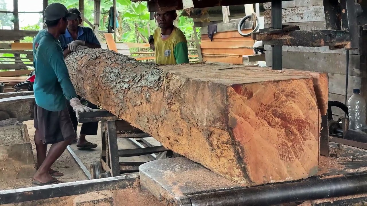 Sawmill Process for 2x20 Boards - Your Home Construction Solution