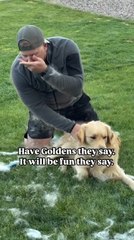 Man Gets Golden Retriever Hair in Mouth While Deshedding