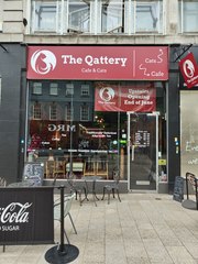 Cats from Qatar in Wolverhampton’s very first kitty cafe