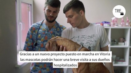 El País Vasco ya permite que las mascotas entren en el hospital para visitar a sus dueños ingresados. Probablemente lo acabaremos viendo en el resto de España