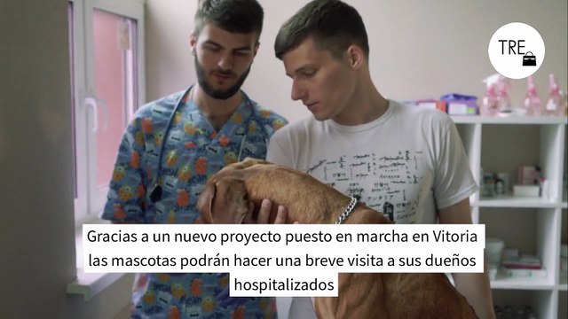 El País Vasco ya permite que las mascotas entren en el hospital para visitar a sus dueños ingresados. Probablemente lo acabaremos viendo en el resto de España