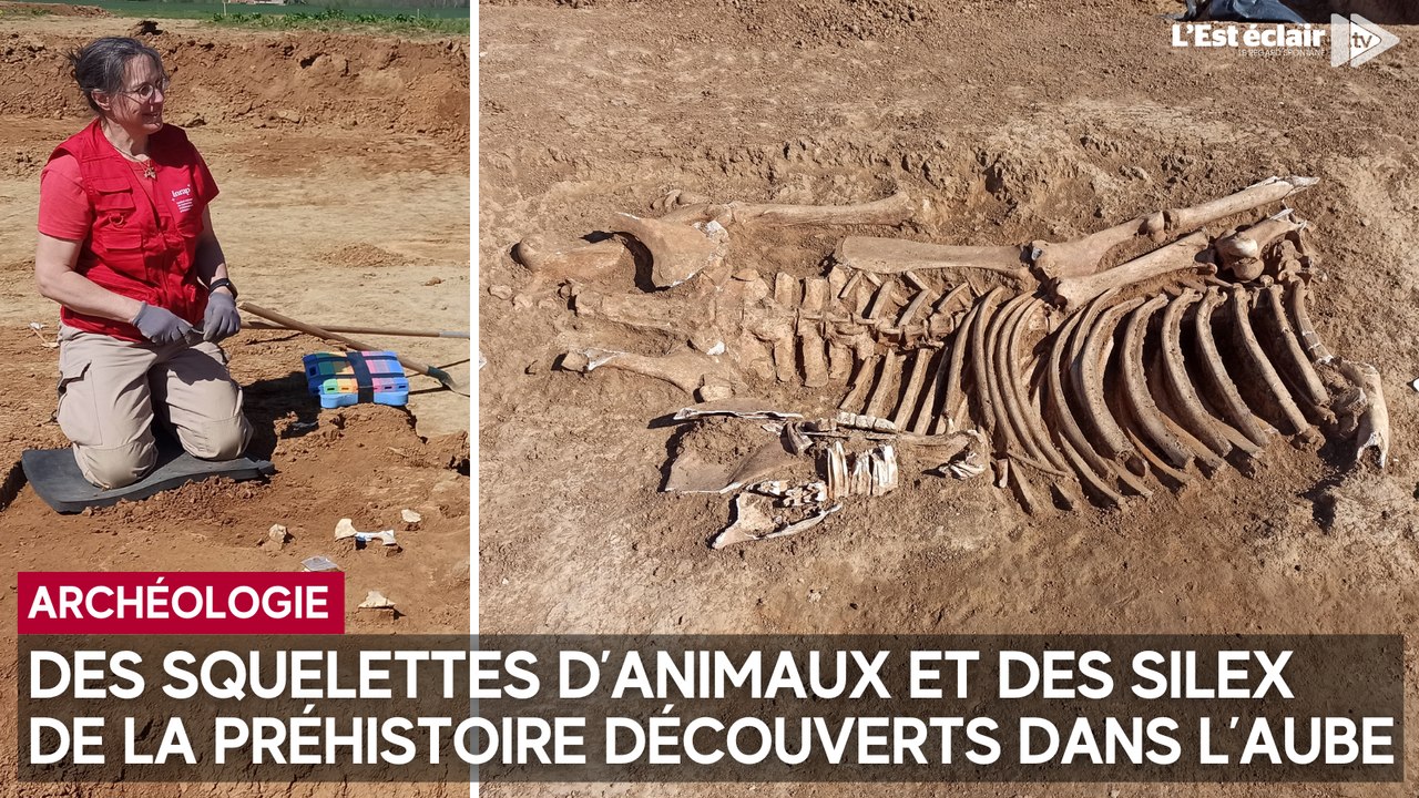 Des archéologues ont découvert des vestiges de la préhistoire à Nogent-sur-Seine