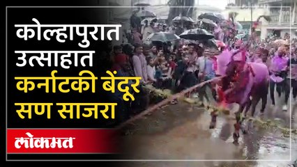 सर्जाराजाची सजलेली जोडी... कर्नाटकी बेंदूर कोल्हापुरात पावसाच्या साथीने उत्साहात साजरा...