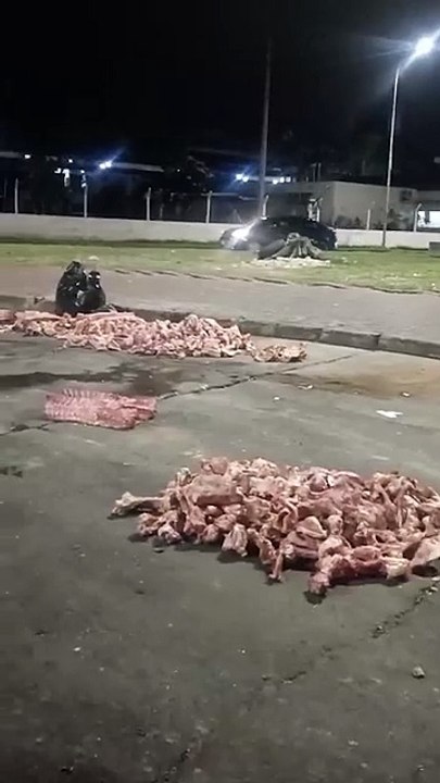 DENUNCIAN QUE BOTAN HUESOS DE ANIMALES EN LA TERMINAL