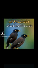 Urdu quotes grow✍️ چھوٹی سی زندگی کا بڑا سبق 💔 | زندگی بدل دینے والا قول