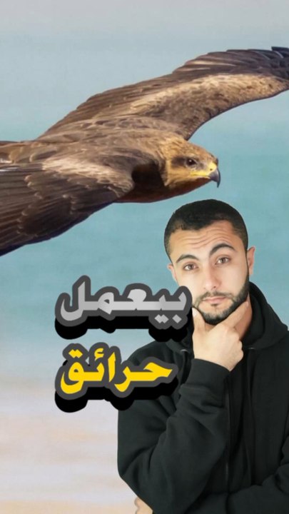 🔥 طائر يستغل النار لصيد فريسته؟