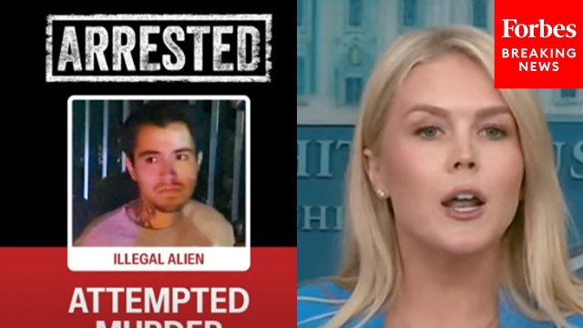 Karoline Leavitt Announces New Arrests In Los Angeles Amidst Ongoing Protests