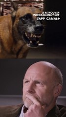 La série Le Bureau des Légendes est-elle réaliste ? 🤔