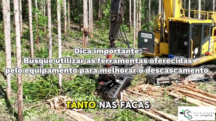 Boas práticas no descascamento